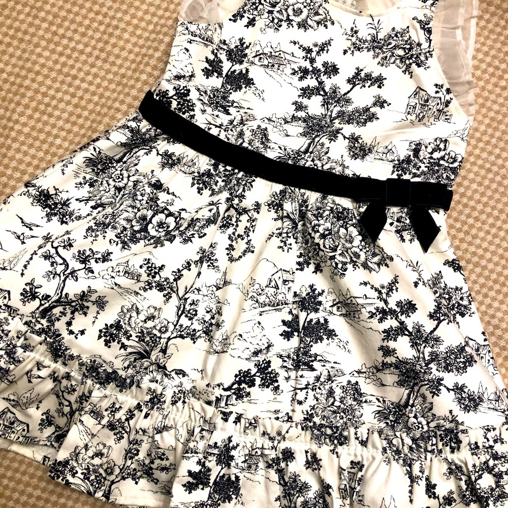 Janie and Jack Provence Dress